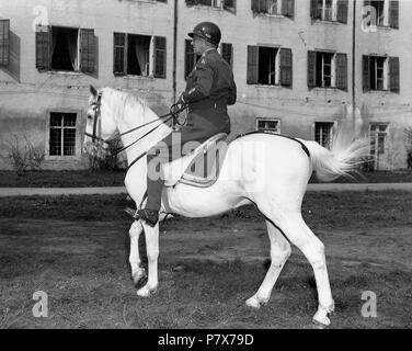 Englisch: General Patton reiten" favory Afrika", die Hitler persönlich ausgewählt hatte, Kaiser Hirohito vorgelegt werden. Das Pferd gehörte früher zur Reitschule von Wien. Es wurde von den deutschen und später von den Amerikanern wieder beschlagnahmt. August 1945 171 George S. Patton 22. Stockfoto