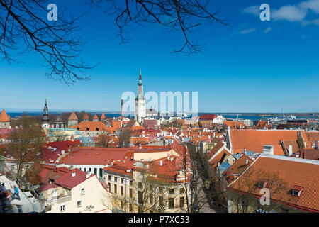Panorama der Altstadt von Tallinn, Estland Stockfoto