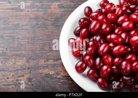 Carneol cherry Hartriegel genießbare Früchte. Frische Hartriegel (Cornus sanguinea) Beeren in runde weiße Schüssel auf dunklem Hintergrund. Stockfoto