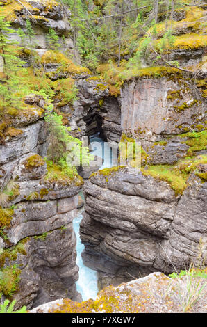 Das Wasser fließt durch Maligne Canyon, der tiefsten Schlucht in den kanadischen Rockies Stockfoto