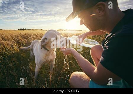 Junger Mann mit Hund bei Sonnenuntergang im Sommer Natur. Durstig gelben Labrador Retriever Trinkwasser aus der Plastikflasche. Stockfoto