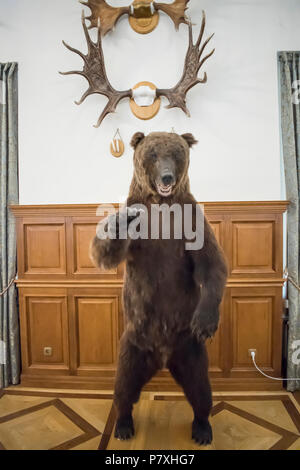 Ein wilder Bär mit einem schrecklichen offenen Mund in Form einer Vogelscheuche in der Hunter House Stockfoto