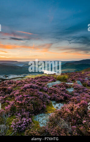 Sonnenuntergang über das Heidekraut Bamford hochkant mit Blick auf Ladybower. Stockfoto