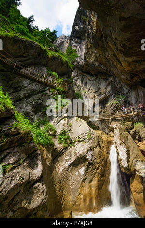 Der Tourist Stream Der Tourist Stream
