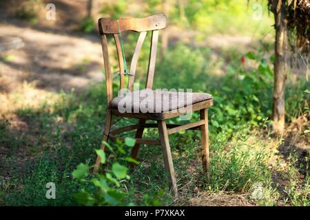 Alten hölzernen Stuhl steht im Garten unter den grünen Pflanzen in sonniger Tag. Stockfoto