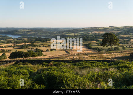 Blick von der Kakerlaken in der Staffordshire Peak District National Park in der Nähe von Lauch in warmen Sommerabend Licht mit dürren Gras im Querformat Stockfoto