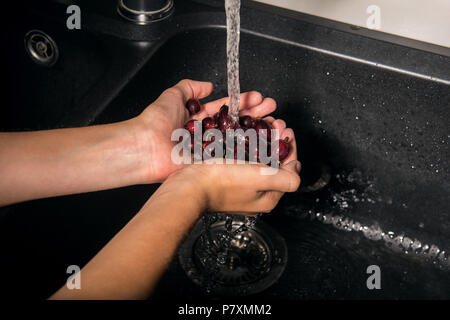 Rote Stachelbeeren in den Händen des kaukasischen Jungen. Junge hält Reife nasse Beeren unter den Fluss von Wasser und Waschen. Elegante schwarze Wanne mit Wasser Stockfoto