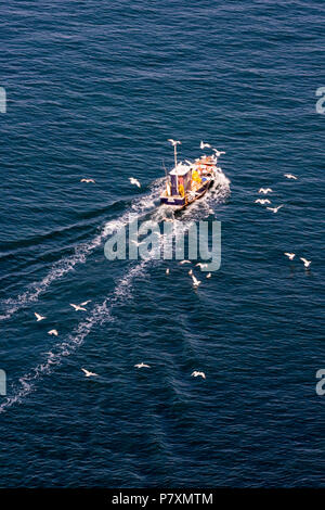 Kleine Küstenfischerei Boot aus Schleppnetzfischerei auf der Isle of Wight von Möwen gefolgt. Stockfoto