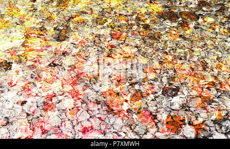 Farbenfrohe abstrakte Hintergrund mit Photo Collage Technik gemacht. Digitale Kunst von Wasser Farbe. Stockfoto