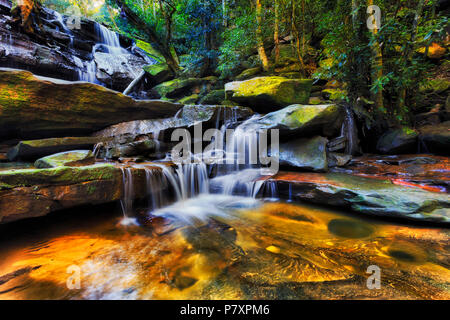 Waterfrall cascade tief im Regenwald Creek mit kaltem Wasser streaming down Sandsteinfelsen - Somersby fällt auf australische Zentrale Küste in der Nähe von Stockfoto