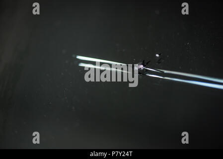 Kleine Windschutzscheibe für Stein oder bullet geknackt. Transport- und Unfall-Konzept. Auto Spiegel und Glas Thema. Selektiver Fokus Stockfoto