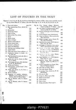 179 Haddon-Reports des Cambridge anthropologische Expedition nach Torres Straits-Vol 1 Allgemeine Ethnographie - p011 Stockfoto