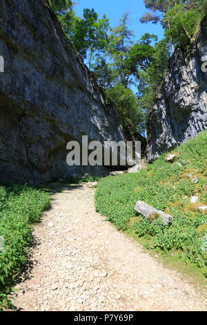 Trow Gill Schlucht am Fuß des Ingleborough Berg in den Yorkshire Dales National Park und ist eine der Routen bis auf den Gipfel des Ingleborough. Stockfoto