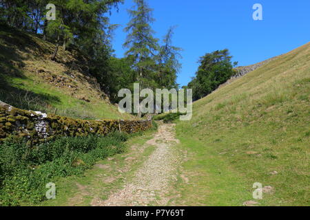 Trow Gill Schlucht am Fuß des Ingleborough Berg in den Yorkshire Dales National Park und ist eine der Routen bis auf den Gipfel des Ingleborough. Stockfoto