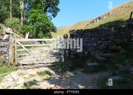 Trow Gill Schlucht am Fuß des Ingleborough Berg in den Yorkshire Dales National Park und ist eine der Routen bis auf den Gipfel des Ingleborough. Stockfoto