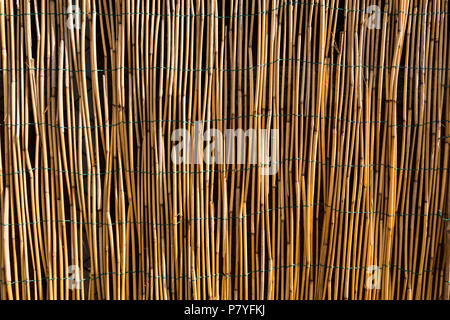 Bambus wand Textur. Stockfoto