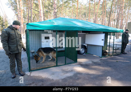 Ukrainische Militär Hundeführer standen neben mobile Voliere mit Deutsche Schäferhunde in Käfigen. 23. März 2018. Staroe, Ukraine Stockfoto