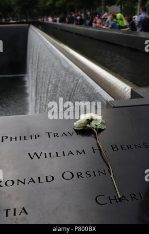 Verwelkt weiße Rose am Rande der Denkmal 9/11 Nord Pool, wo die Namen derer, die ihr Leben verloren in Bronze BRÜSTUNGEN eingeschrieben sind. Stockfoto