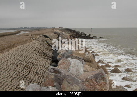 Das Meer der Verteidigung und die Erosion der Küsten auf der Nehrung zwischen dem Fluss Alde aus der Nordsee in Aldeburgh, Suffolk Stockfoto