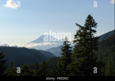 Mount Rainier in Wolken gehüllt Stockfoto