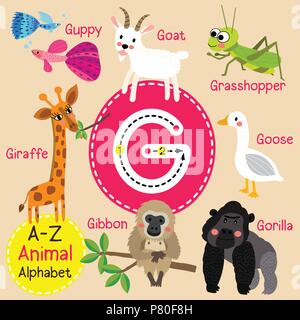 Cute Zoo für Kinder alphabet G schreiben Tracing von funny animal Cartoon für Kinder Englisch Vokabeln lernen Stock Vektor