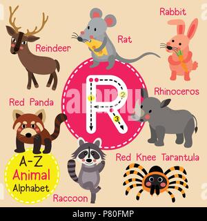 Cute Zoo für Kinder alphabet R schreiben Tracing von funny animal Cartoon für Kinder Englisch Vokabeln lernen Stock Vektor