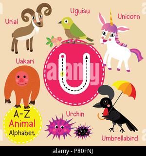 Cute Zoo für Kinder alphabet U schreiben Tracing von funny animal Cartoon für Kinder Englisch Vokabeln lernen Stock Vektor