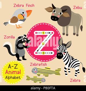 Cute Zoo für Kinder Alphabet Z schreiben Tracing von funny animal Cartoon für Kinder Englisch Vokabeln lernen Stock Vektor