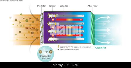 Ein Luftreiniger ist ein Gerät, das entfernt Verunreinigungen aus der Luft in einem Raum. Diese Geräte werden häufig als vorteilhaft zu Allergie Suff vermarktet Stock Vektor