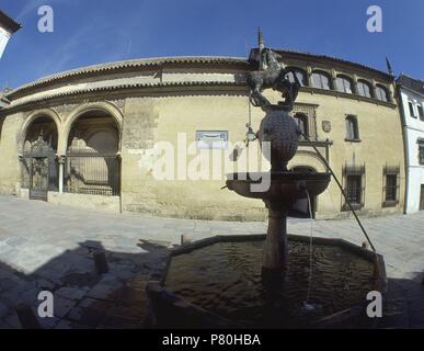 PLAZA DEL POTRO Y FACHADA MUSEO BELLAS ARTES - OJO DE PEZ. Ort: Außen, CORDOBA, Spanien. Stockfoto