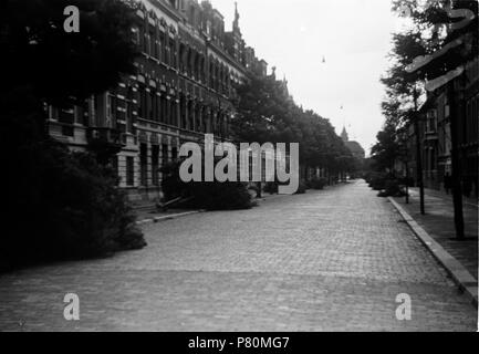 . Huizinga collectie afbraak stadsdelen - Niod-217014. Nederlands: Foto uit de collectie Huizinga van het NIOD. Een straat met deels gerooide Baume, vermoedelijk voor de aanleg van de Atlantikwall. Menno Huizinga war onderdeel van de Ondergedoken Kamera en-de illegaal maakte Foto tijdens bezetting. Dit tat hij zijn woonplaats hoofdzakelijk in Den Haag. Datum unbekannt 39 BC856 HUI-1782 Stockfoto