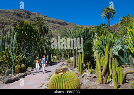 Cactus Garden im Palmitos Park Stockfoto