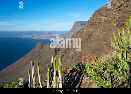 Blick entlang der Westküste der Insel Gran Canaria an Anden Verde Stockfoto