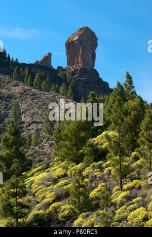 Roque Nublo in der Mitte der Insel Gran Canaria. Stockfoto