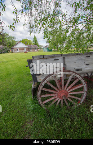 Pioneer Wagen am Fort Missoula, Montana Stockfoto