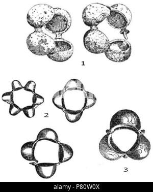 Englisch: Armbänder aus alten Dacia, La Tene II Armband 1 = Apahida; 2=Diosag; 3=Santioane wie von der Rumänischen gelehrten Parvan enthalten in seinem Buch Getica (1926), veröffentlicht 1926 von Cultura Nationala in Bukarest, Rumänien. 1926 101 Dacian Armbänder La Tene II. Stockfoto