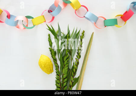 Jüdische Festival von Sukkot. Traditionelle Symbole (die vier Arten): Etrog, lulav, hadas, Arava Stockfoto