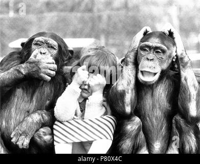 Zwei Affen, nichts sehen, nichts hören, nichts sagen, England, Großbritannien Stockfoto