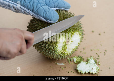 Hand mit Messer durian Schale, hat viele Dornen zu schälen. Tropische Früchte der Saison, König der Früchte aus Thailand. Die Durian schälen, Handschuhe, Messer. Stockfoto