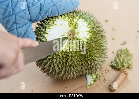 Hand mit Messer durian Schale, hat viele Dornen zu schälen. Tropische Früchte der Saison, König der Früchte aus Thailand. Die Durian schälen, Handschuhe, Messer. Stockfoto