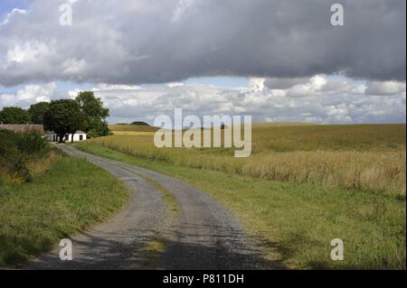 Landschaft. Felder in Oxie, Umgebung Stadt Malmö. Schweden. Stockfoto