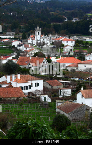 Weinberg, ortsrand und Igreja Matriz Pfarrkirche, Vila Praia de Ancora, Provinz Minho, Nordportugal Stockfoto