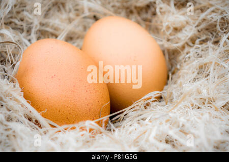 Goldene Ei im Nest am Ostersonntag mit Vintage Farbe Ton Stockfoto