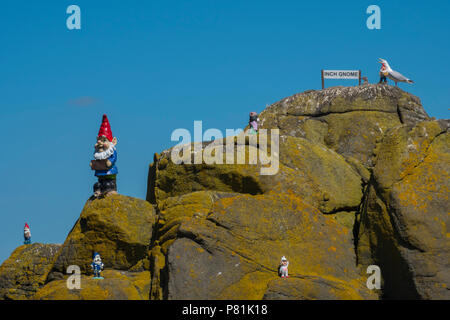 "Inchgnome Insel' - ein Fels der Inchcolm Insel in der Erhabene die von Gartenzwergen kolonisiert worden ist - Sommer 2018. Stockfoto