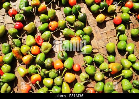 Hot Chili Peppers Stockfoto