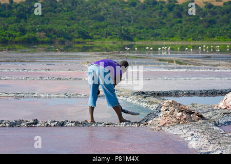 Salinen Pan Salt Miner, ugandische Mann, Crater Lake im Queen Elizabeth National Park Stockfoto