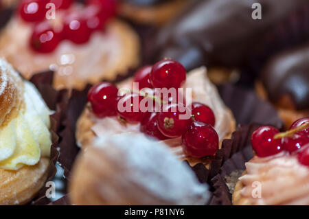 Nahaufnahme eines Cupcake mit Sahne und Früchten. Rote Johannisbeeren (rote Kirsche). Stockfoto