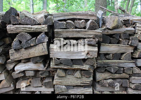 Viele Haufen Brennholz auf der Wiese. Stockfoto