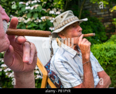 Nahaufnahme von zwei älteren Männern, die in Liegestühlen in einem Sommergarten sitzen und eine kubanische Zigarre rauchen, England, Großbritannien Stockfoto