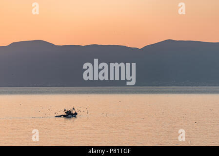 Ein kleines Fischerboot verlässt den Hafen bei Sonnenaufgang von Möwen in Alhucemas, Marokko gefolgt. Stockfoto